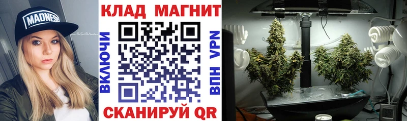Наркотические вещества Ноябрьск A PVP  Псилоцибиновые грибы  Амфетамин  Конопля  ГАШИШ  Меф 