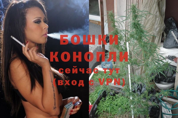 эйфоретик Зерноград