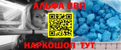 ешки Кингисепп