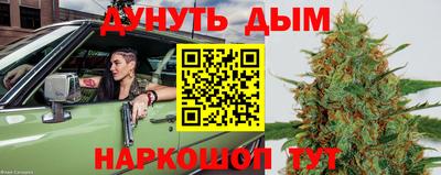 ешки Кингисепп