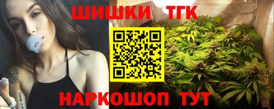 ешки Кингисепп
