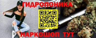 стаф Кимры