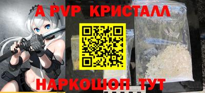 ешки Кингисепп