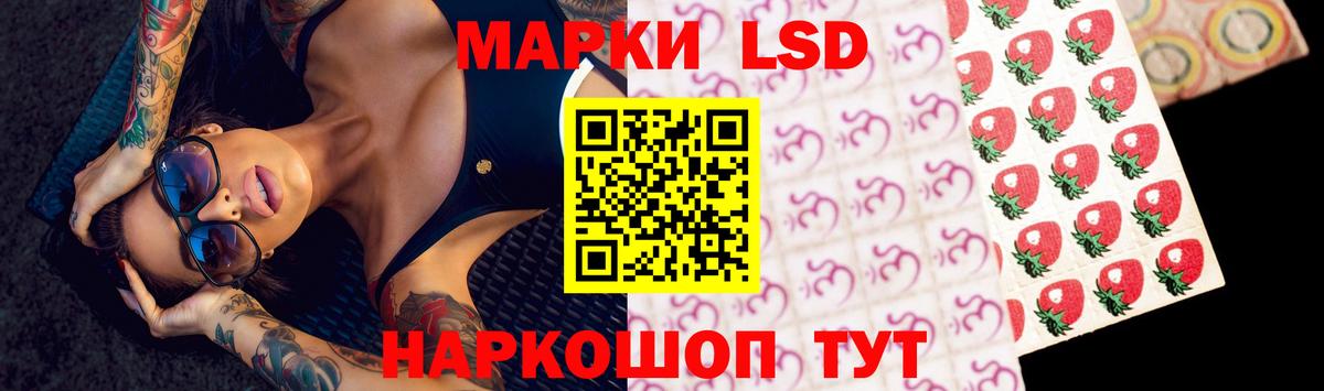 LSD-25 экстази кислота  Лсд 25 экстази кислота  Вход с VPN  Ноябрьск 