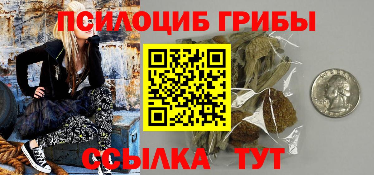 Ноябрьск  где купить наркоту  Вход с VPN  Псилоцибиновые грибы Magic Shrooms 