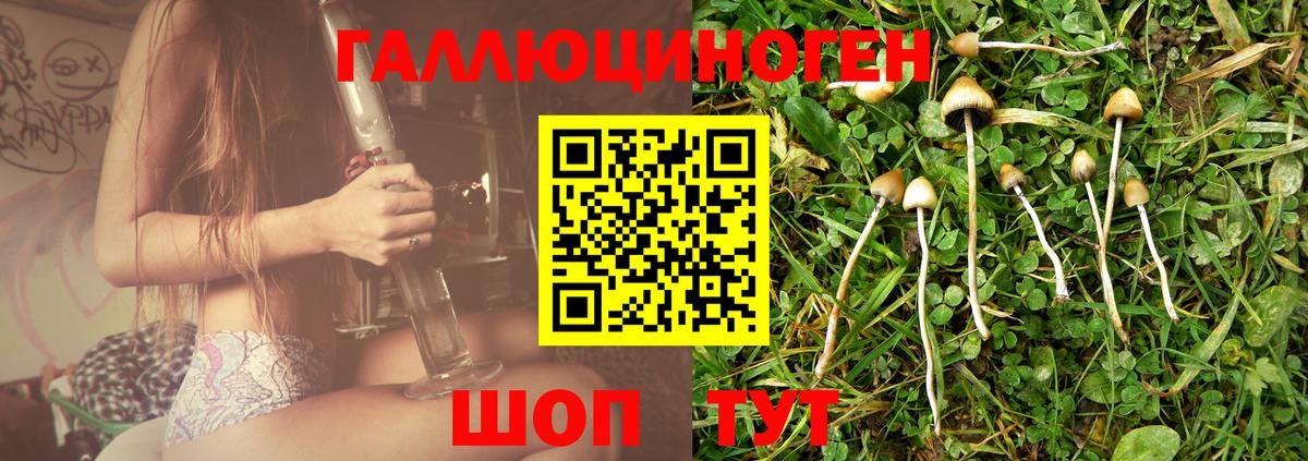 Галлюциногенные грибы GOLDEN TEACHER Ноябрьск